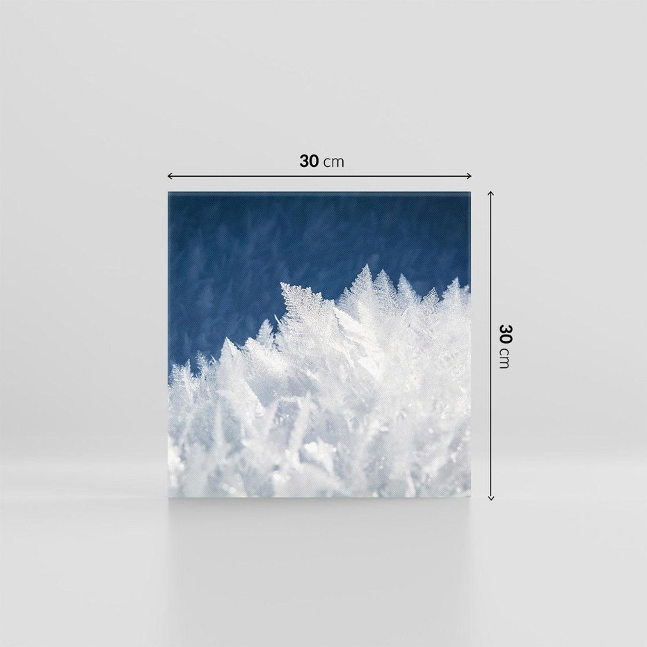 Obraz na płótnie 30x30 - Zimowa magia: Kryształki lodu - zima, kryształki