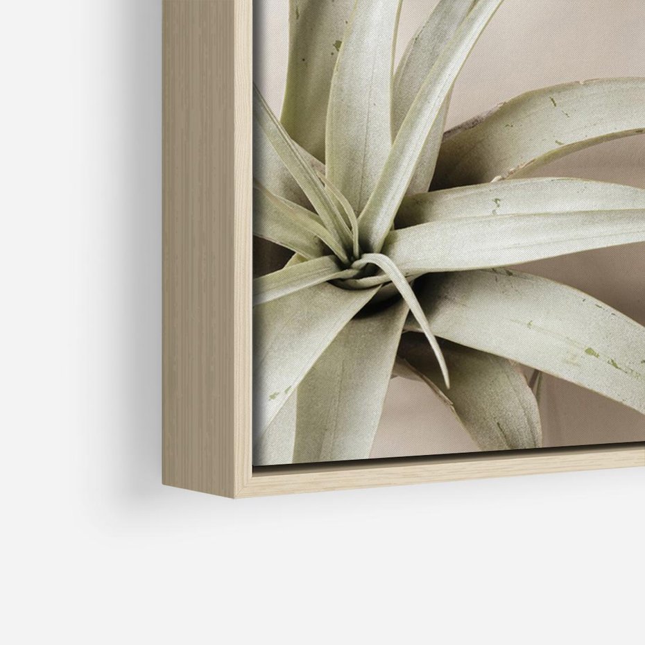 Obraz w ramie 120x80 - Boho urok suchych liści - suche, liście - rama drewno