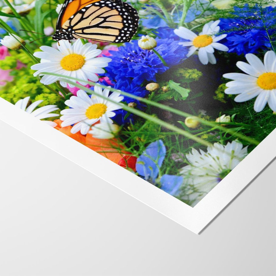 Plakat bez ramy 30x40 - Kwiatowy Taniec - motyl, kwiaty