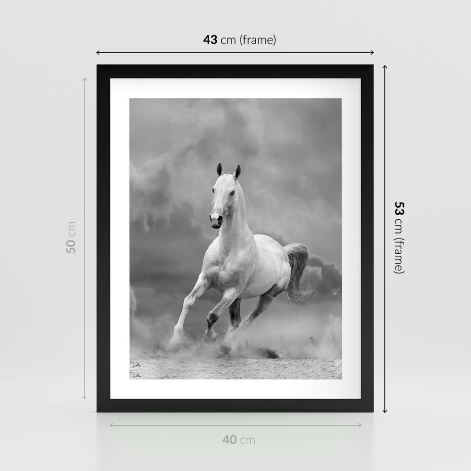 Plakat w ramie 40x50 - Elegancja w Czarno-Białym - koń, biało - rama czarna