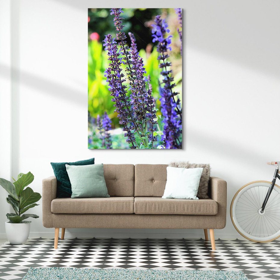 Obraz na płótnie 50x70 - Ogród Lawendowy - lawenda, kwiat