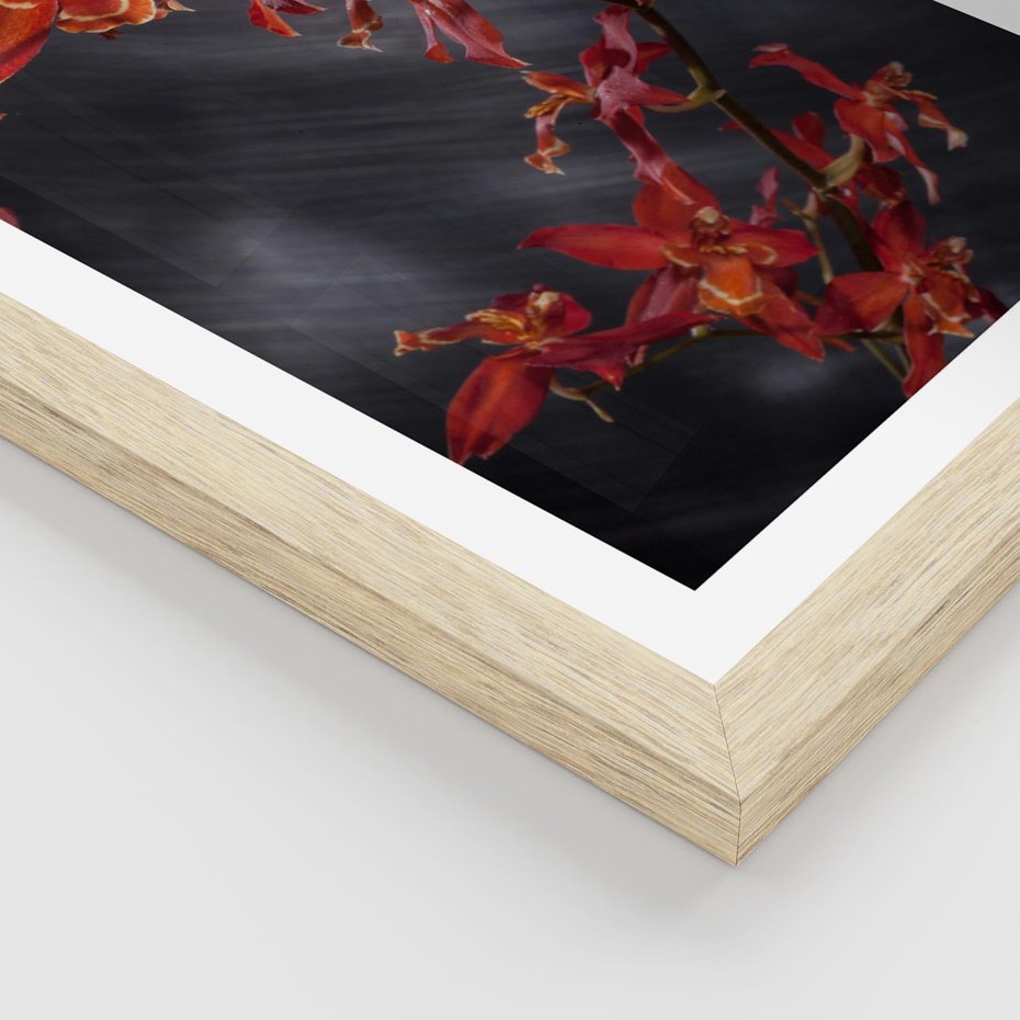 Plakat w ramie 30x40 - Kolorowy Raj - kwiaty, tropikalne - rama drewno