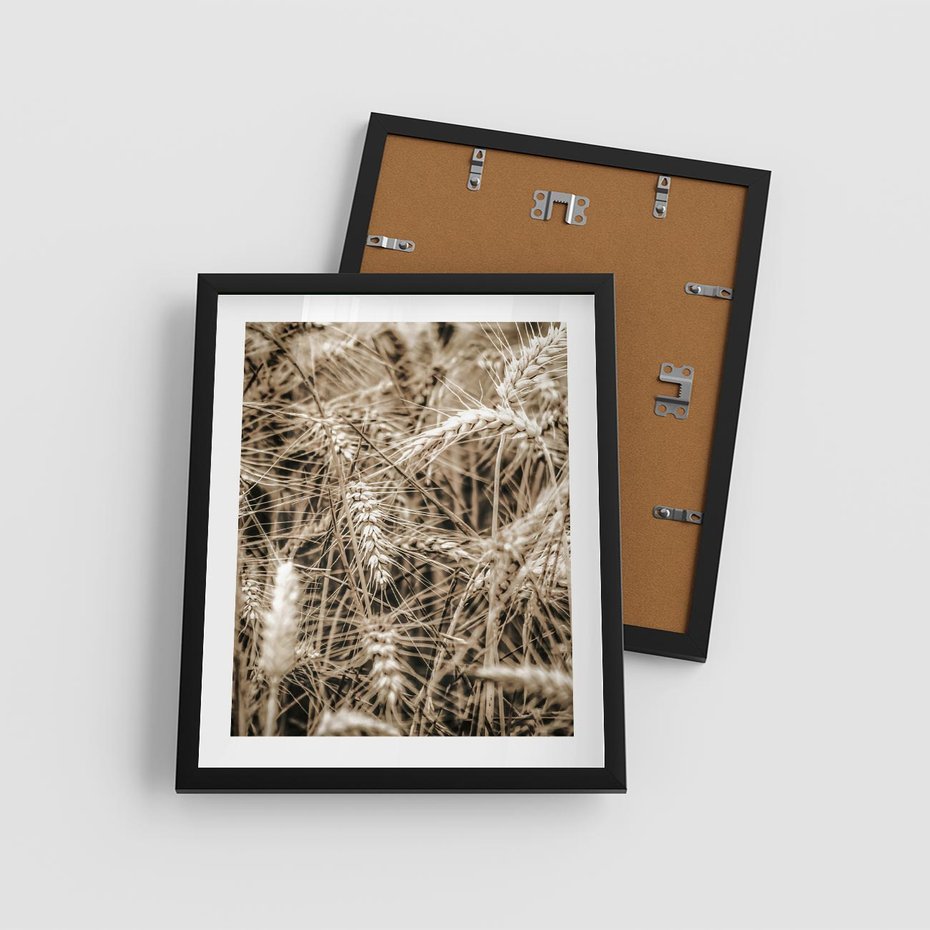Plakat w ramie 40x50 - Zbliżenie na Kłosy Zboża - zboża, kłosy zboża - rama czarna