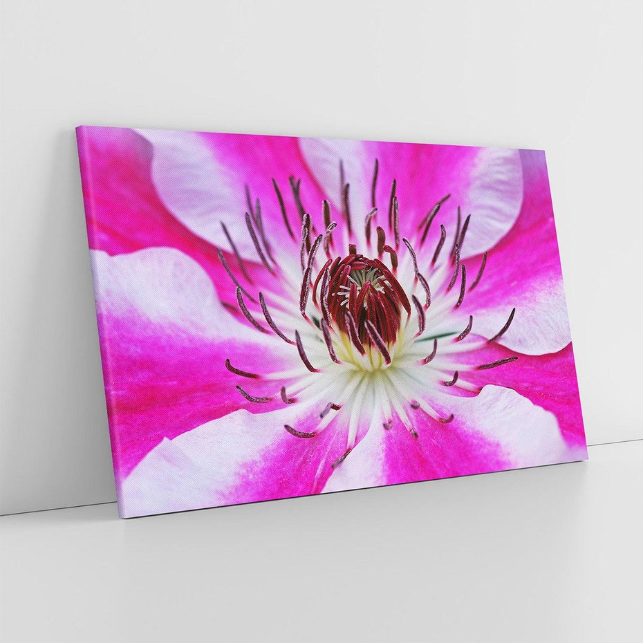 Obraz na płótnie 120x80 - delikatność natur - kwiat, kwiaty