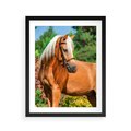 Plakat w ramie 40x50 - Elegancki wierzchowiec - koń, portret - rama czarna