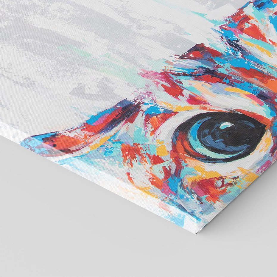 Obraz na płótnie 70x100 - Co ja Widzę - obraz olejny, śmieszny obraz kota