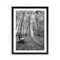Plakat w ramie 50x70 - Spadające Liście - czarno białe zdjecie, park - rama czarna