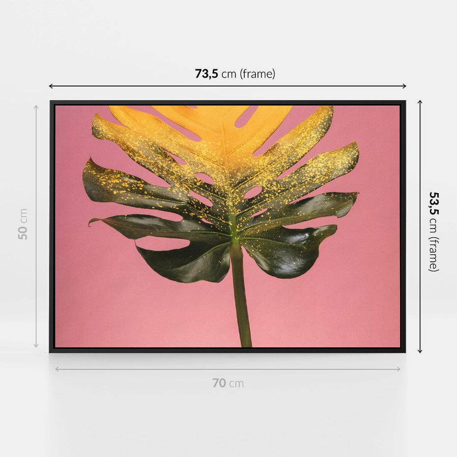 Obraz w ramie 70x50 - Majestatyczna monstera - monstera, liść - rama czarna