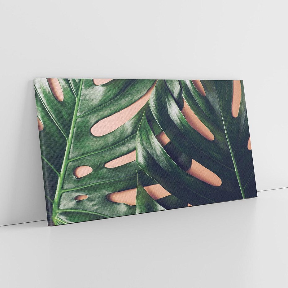Obraz na płótnie 120x60 - Monstera Liście - monstera, liście