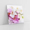 Obraz na płótnie 50x50 - Magia kwiatów - kwiaty