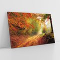 Obraz na płótnie 120x80 - Jesienny las - malownicza droga - las, jesień