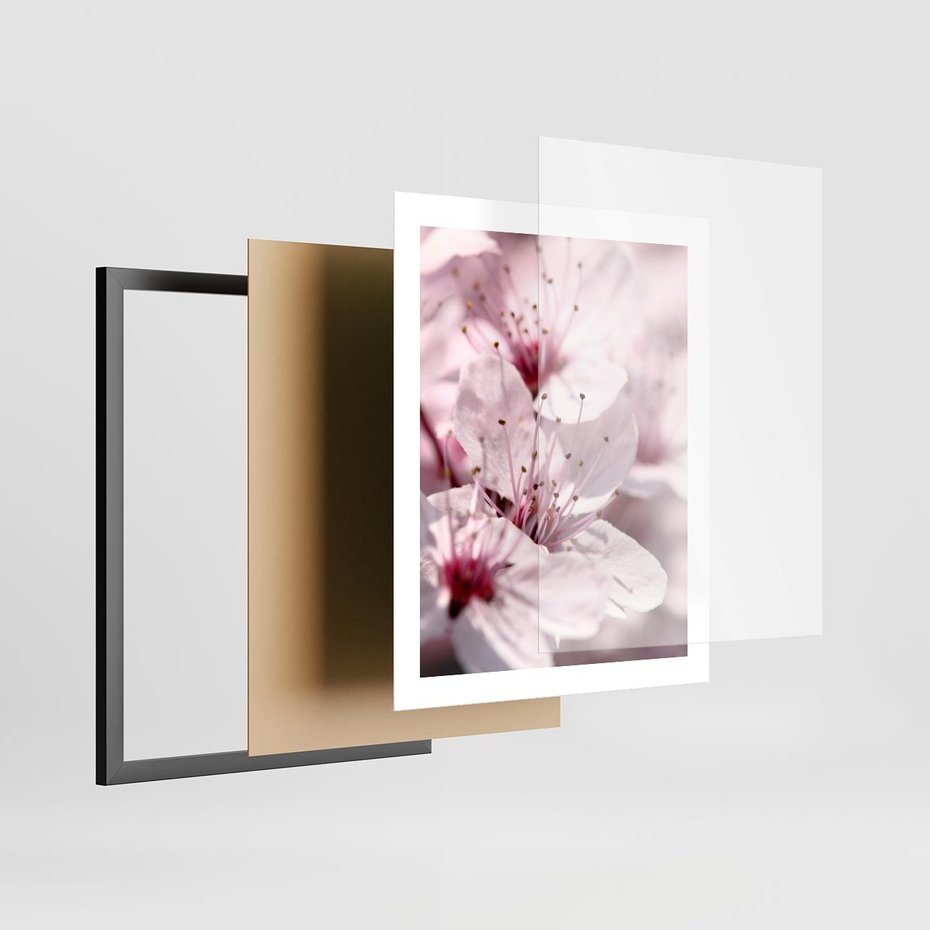 Plakat w ramie 40x50 - Kwitnąca Wiśnia - kwiaty, kwitnąca - rama czarna