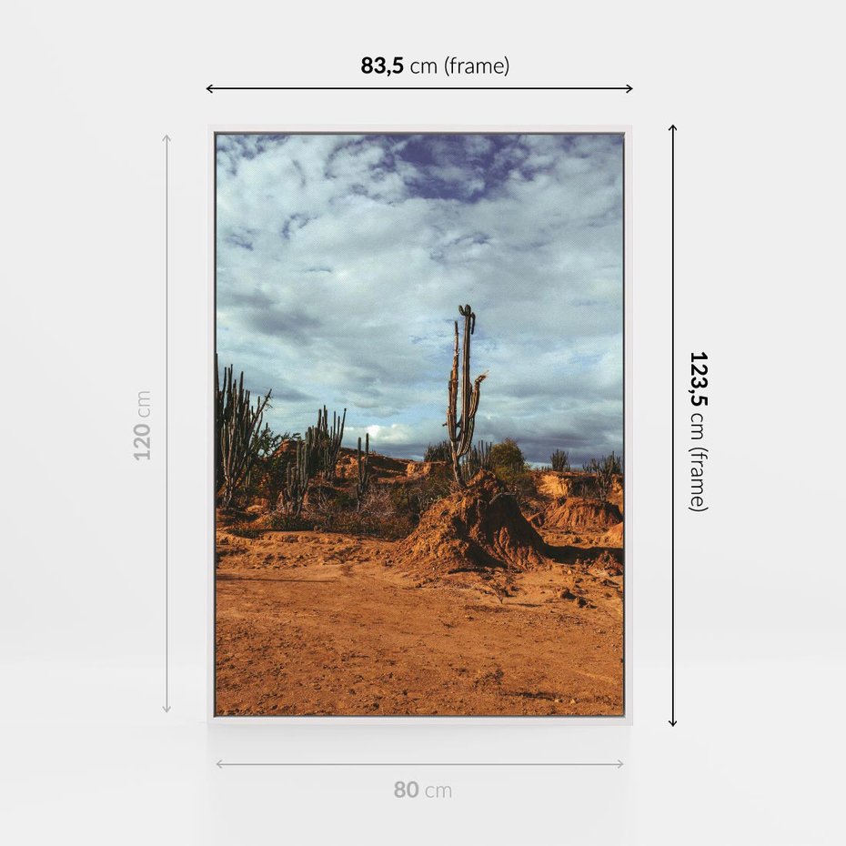 Obraz w ramie 80x120 - Skarby Pustynnego Kanionu - pustynia, kaktusy - rama biała