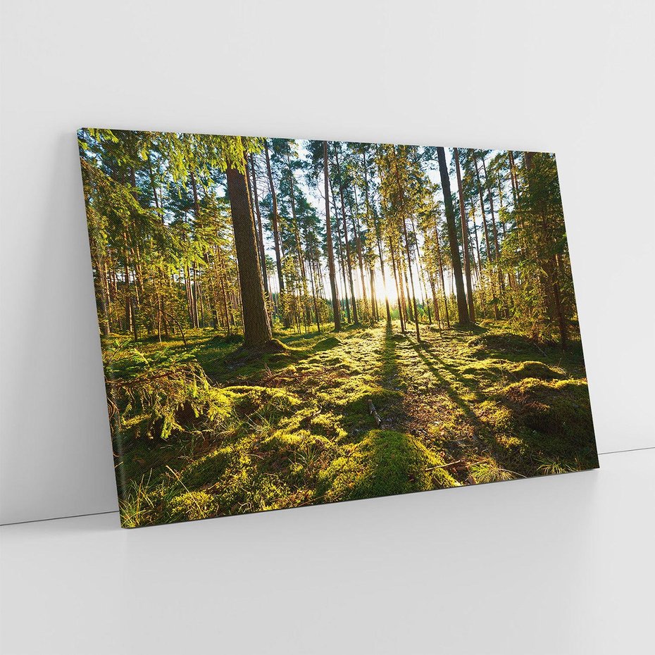 Obraz na płótnie 120x80 - Obfitość natury - las, drzewa