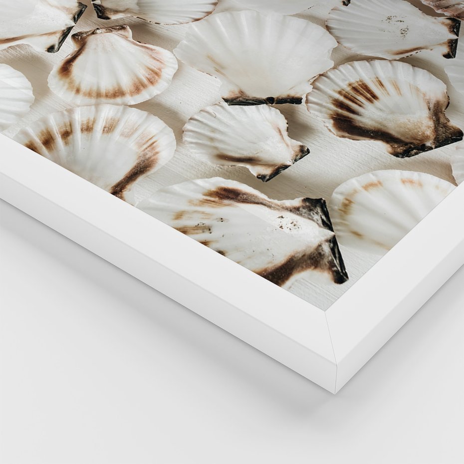 Zestaw obrazy w ramie 50x70 galeria - Morze, muszla, zachód, słońca - rama biała