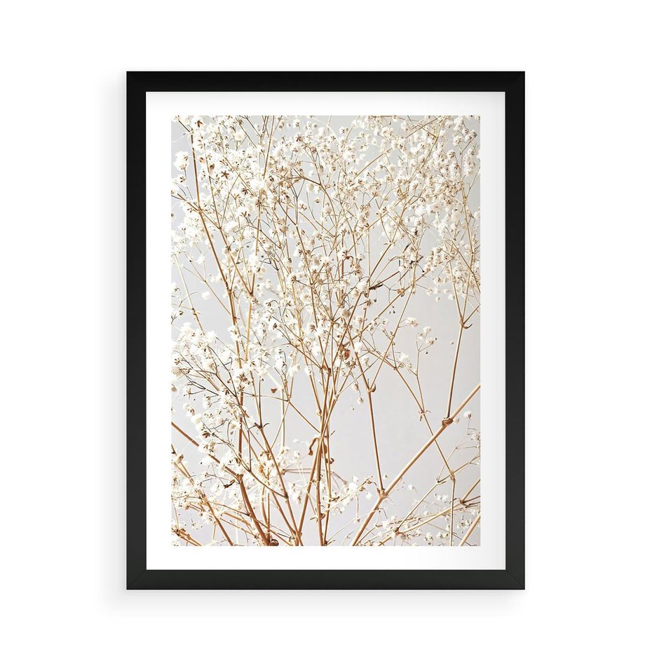 Plakat w ramie 50x70 - Minimalistyczna Delikatność - białe kwiaty, gipsówka - rama czarna