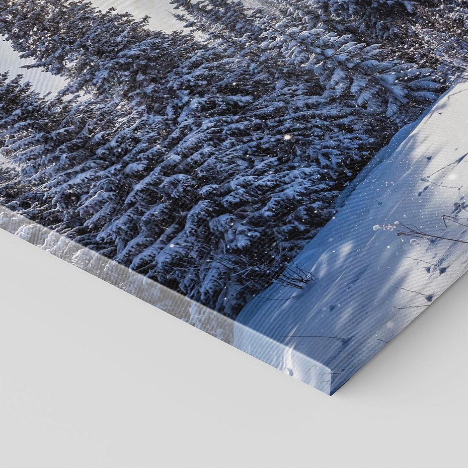 Obraz na płótnie 120x60 - Zimowe góry w lesie - góry, zima