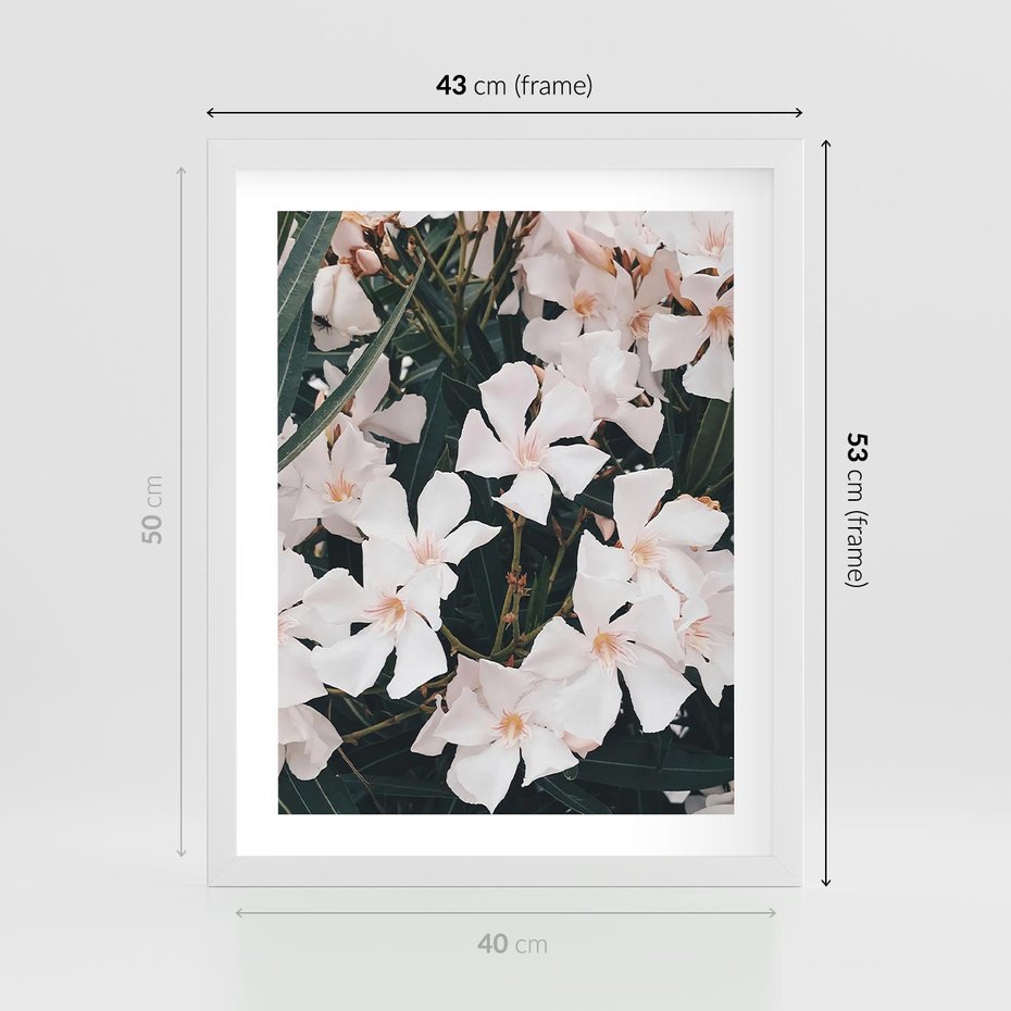 Plakat w ramie 40x50 - Egzotyczna Uroda - białe kwiaty, tropikalne kwiaty - rama biała