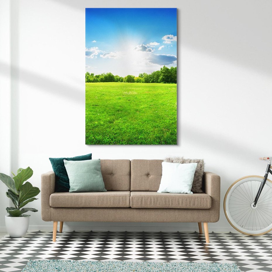 Obraz na płótnie 80x120 - Idylla na łące drzew - łąka, drzewa