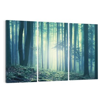 Obraz na płótnie 120x80 - Mistyczny las w mgle - las, mgła