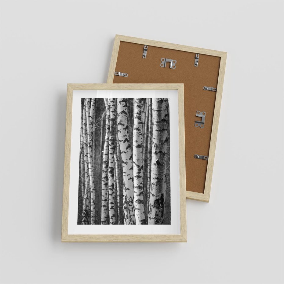Plakat w ramie 30x40 - Kontrast Monochromatyczny - brzozy, czarno - rama drewno