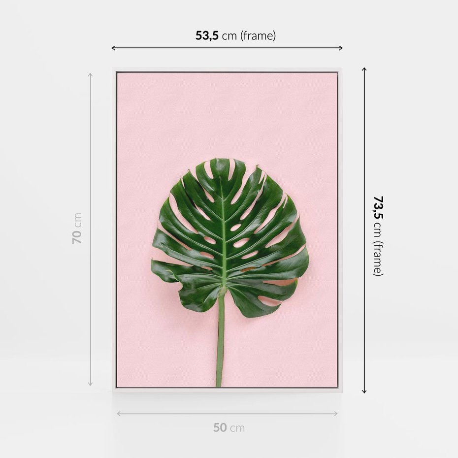 Obraz w ramie 50x70 - Egzotyczna Roślinność - liście, monstera - rama biała