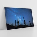 Obraz na płótnie 100x70 - Kaktusy - Niebo z gwiazdami - kaktusy, niebo