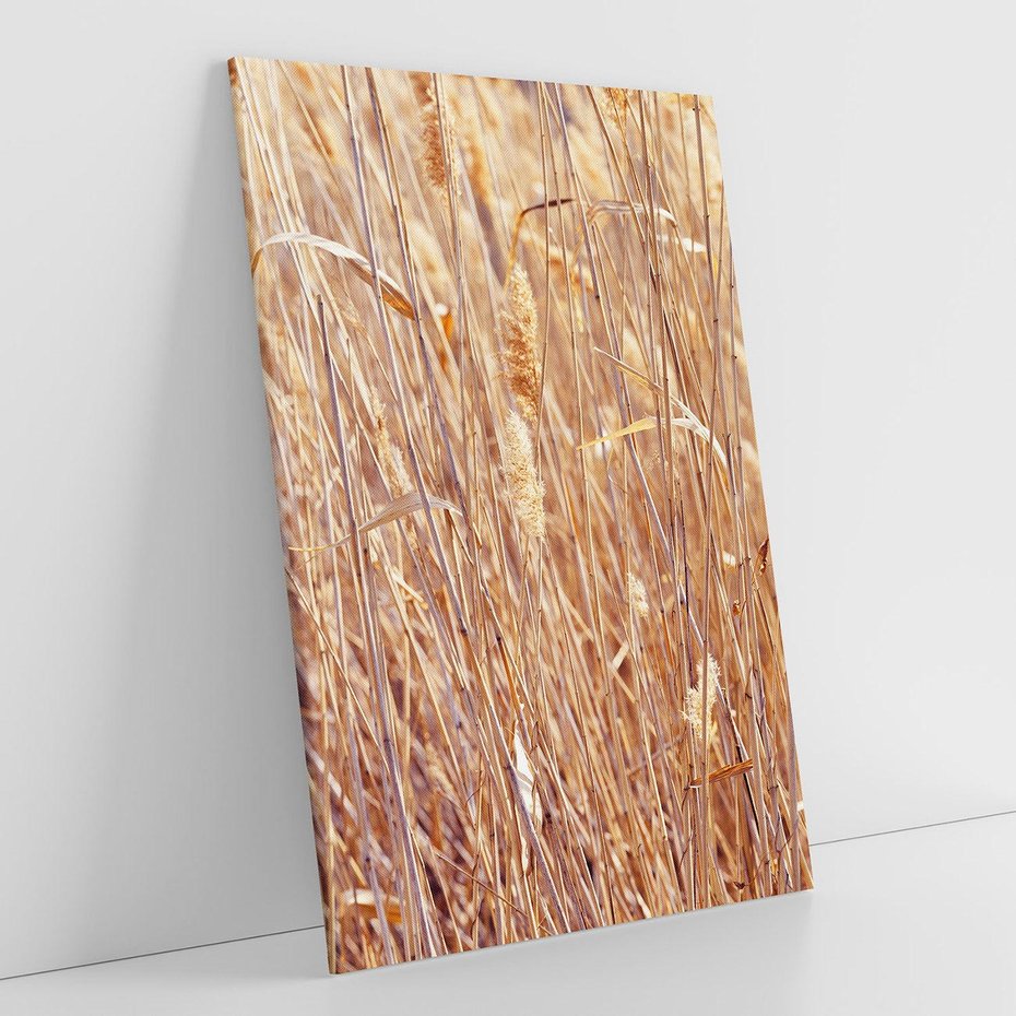 Obraz na płótnie 50x70 - Mistrzowskie suche trawy - suche, trawy