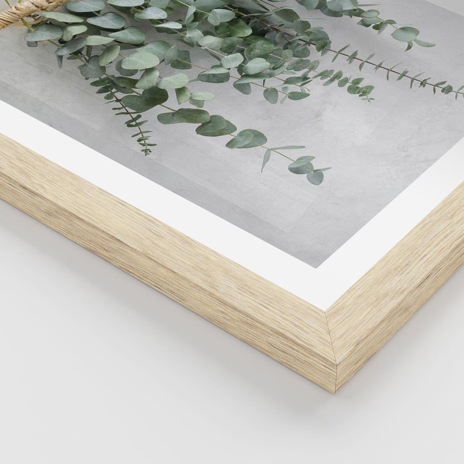 Plakat w ramie 30x40 - Uwodzicielska zieleń eukaliptusa - eukaliptus, zielone - rama drewno