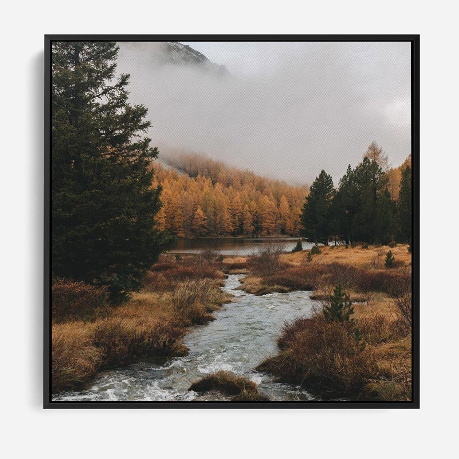 Obraz w ramie 50x50 - W Górskiej Dolinie - artystyczna fotografia, las - rama czarna