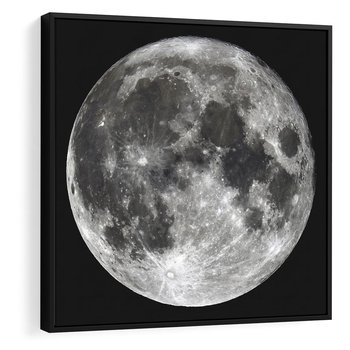 Obraz w ramie 50x50 - Księżycowa Aura - zdjęcie, ogromny księżyc na czarnym tle - rama czarna