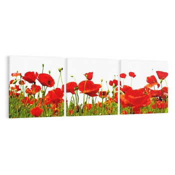 Obraz na płótnie 120x40 - Bujne maki na malowniczej łące - mak, maki