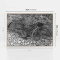 Obraz w ramie 70x50 - Zapomniany Urok - czarno biała fotografia, stary rower oparty o mur - rama drewno