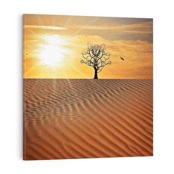 Obraz na płótnie 50x50 - Pustynia - Drzewo i słońce - pustynia, drzewo