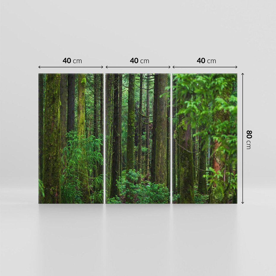 Obraz na płótnie 120x80 - Mistyka leśnej głuszy - las, drzewa