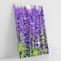 Obraz na płótnie 50x70 - Lawendowa Mgła - lawenda, kwiat