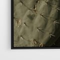 Obraz w ramie 50x50 - Urok Egzotyki - kaktusy, boho - rama czarna