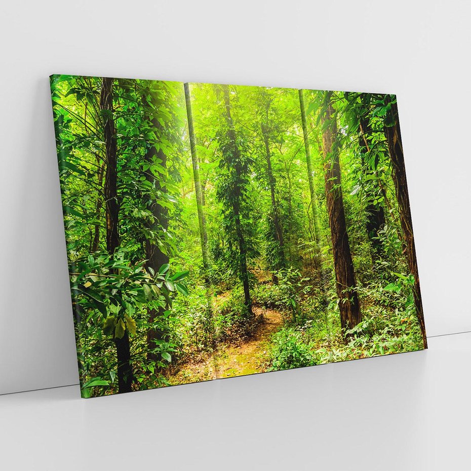 Obraz na płótnie 120x80 - Współistnienie z naturą - drzewa, las