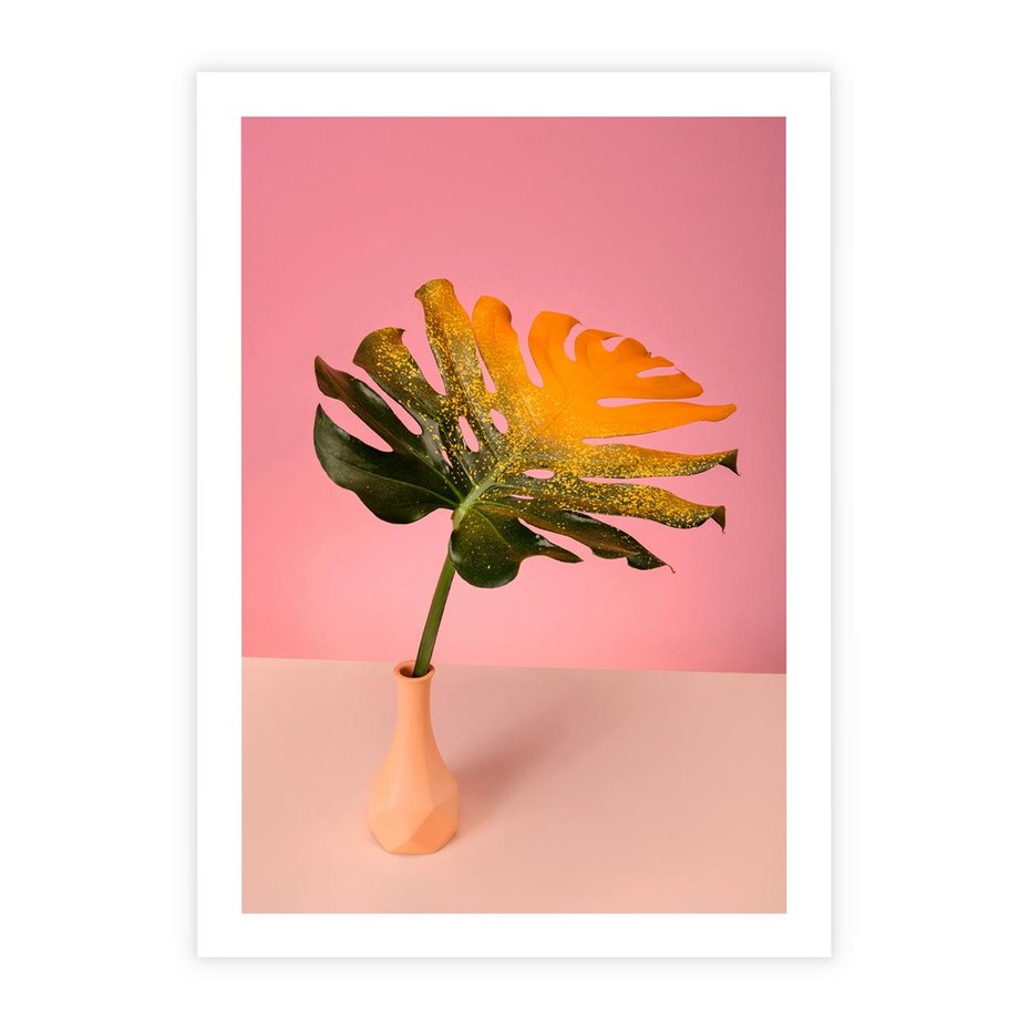 Plakat bez ramy 50x70 - Egzotyczna monstera - monstera, liść