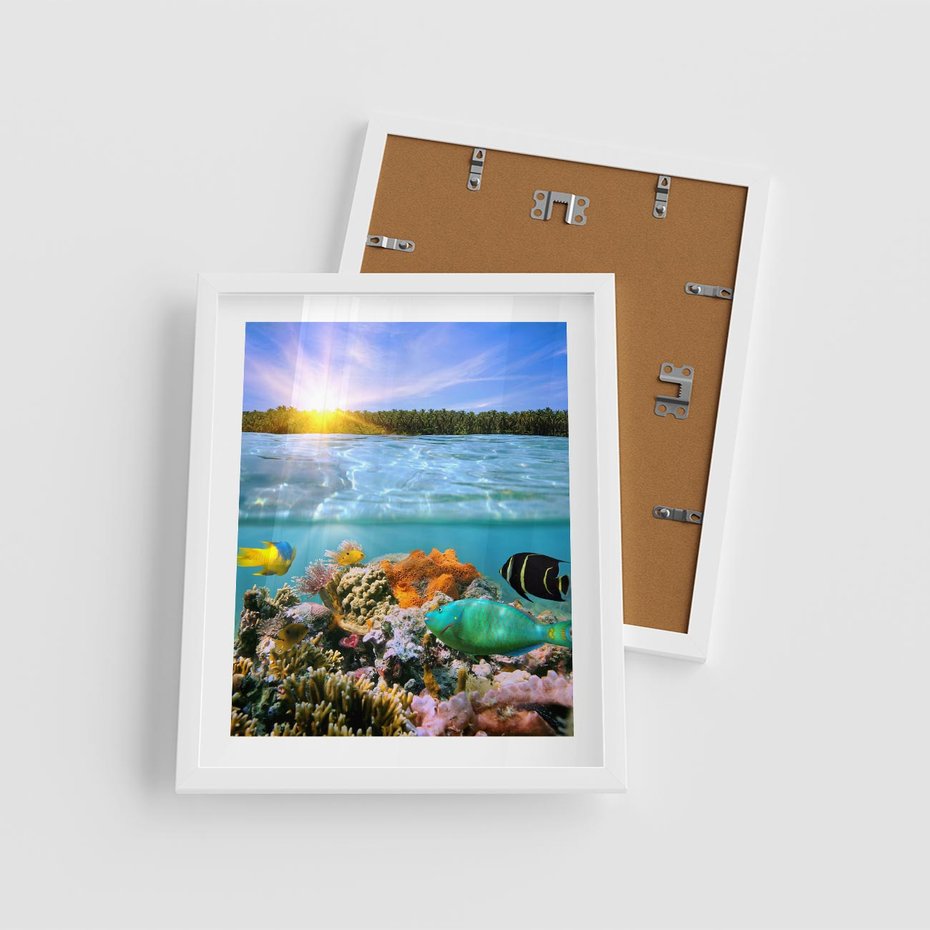 Plakat w ramie 40x50 - Rafa Koralowa - Podwodne Cuda - rafa, koralowa - rama biała
