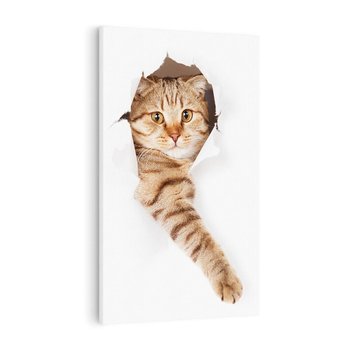 Obraz na płótnie 80x120 - Kot w Dziurze - kot, dziura
