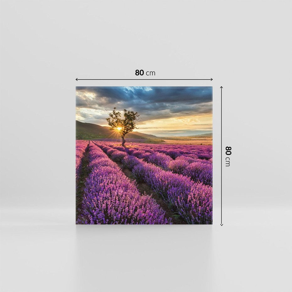 Obraz na płótnie 80x80 - Lawenda: Pachnący ogród natury - lawenda, kwiaty