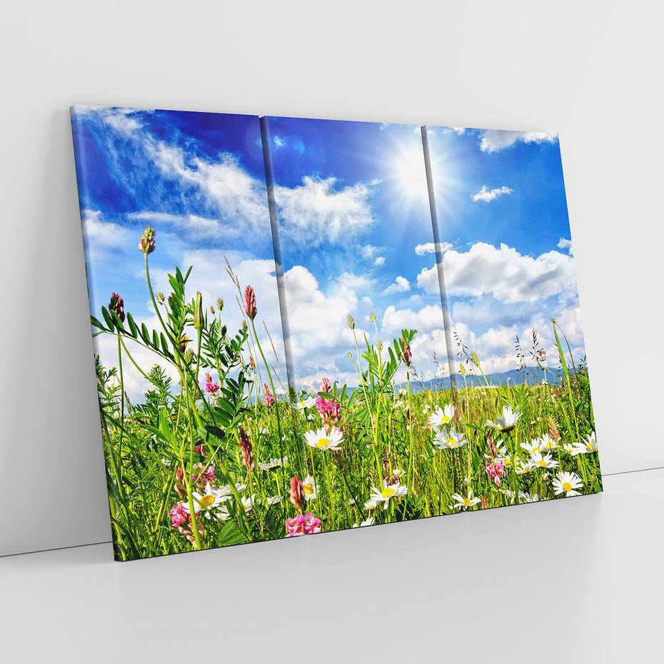 Obraz na płótnie 120x80 - Niebiańska łąka pełna kwiatów - łąka, niebo