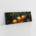 Obraz na płótnie 150x50 - Mandarynki na Drzewku - Owoce Pory Roku - mandarynki, drzewko