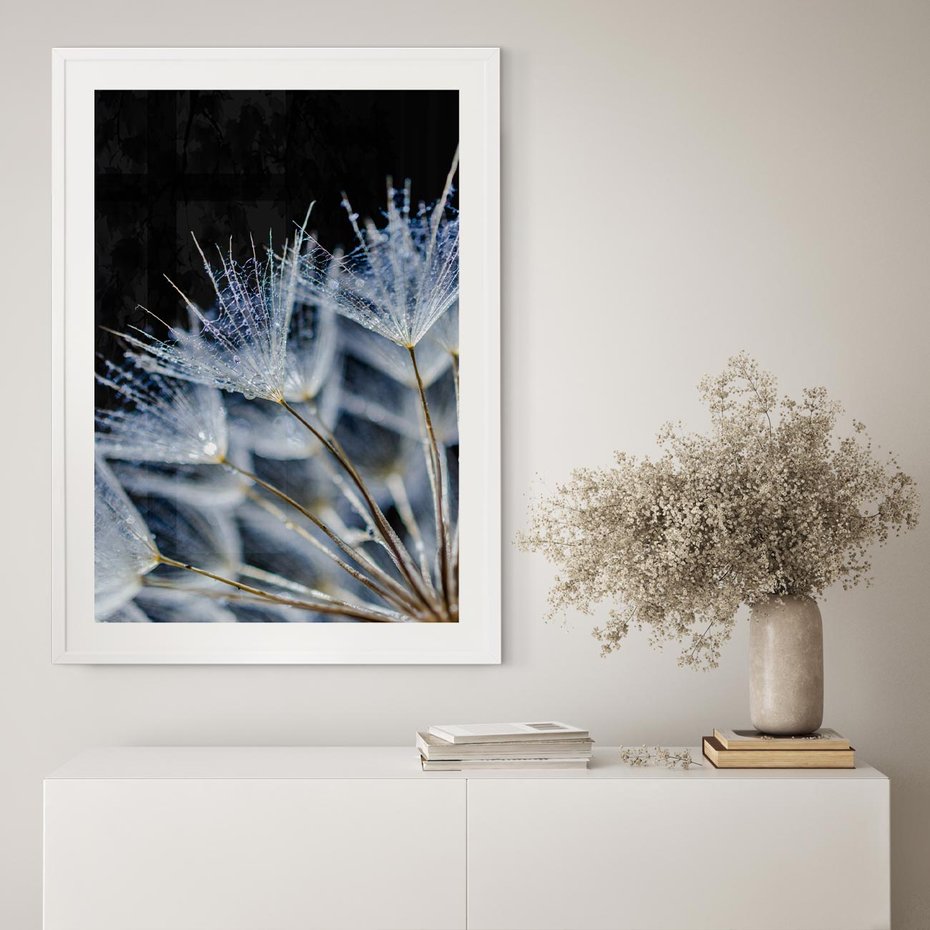 Plakat bez ramy 50x70 - Makro piękno dmuchawców - makro, dmuchawce