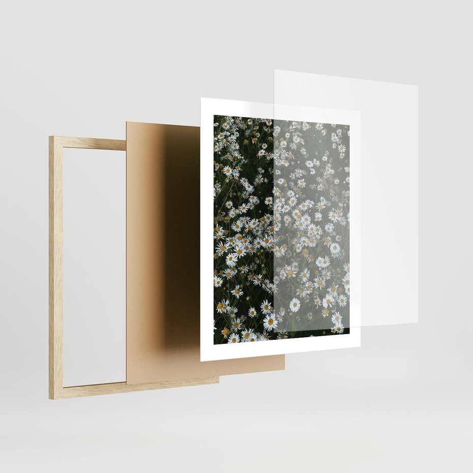 Plakat w ramie 40x50 - Stokrotkowa Idylla na Łące - łąka, stokrotki - rama drewno