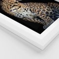 Plakat w ramie 30x40 - Elegancja Jaguarowej Pantery - jaguar, pantera - rama biała