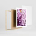 Plakat w ramie 30x40 - Fioletowy zawrót głowy - kwiat, różowy kwiat - rama drewno