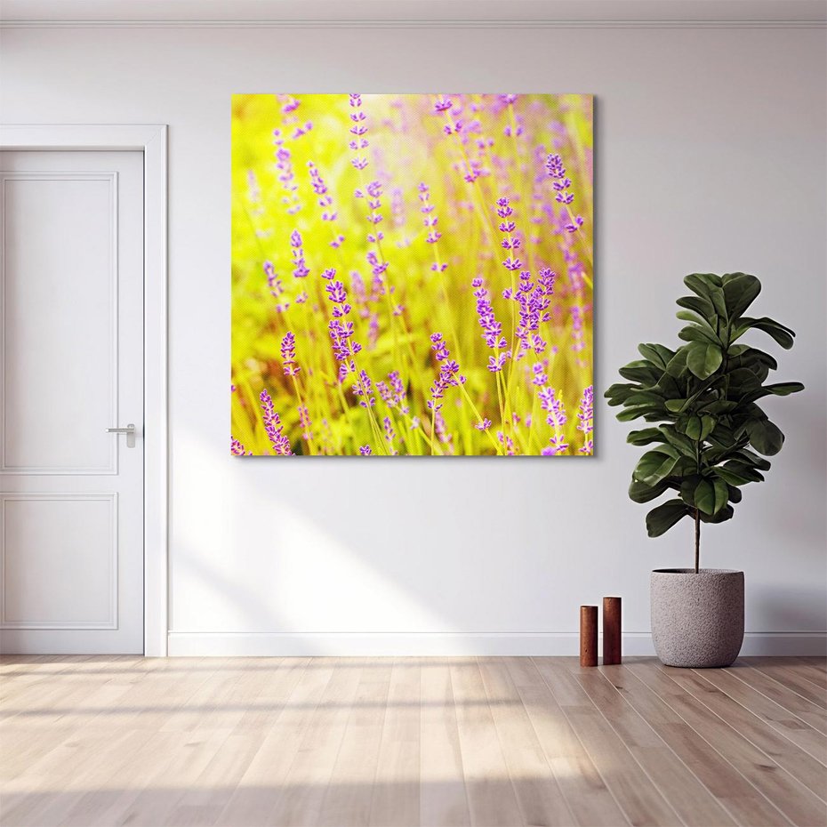 Obraz na płótnie 80x80 - Delikatność natury - lawenda, kwiaty