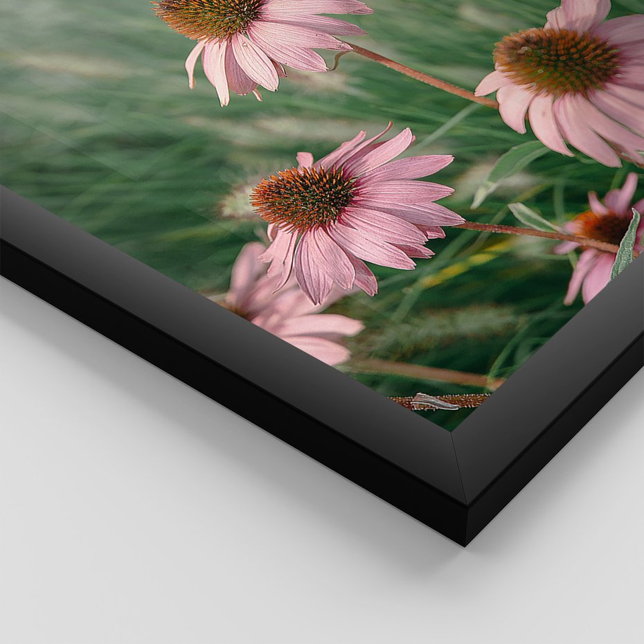 Zestaw obrazy w ramie 50x70 galeria - Kwiaty, łąka, suche, trawy - rama czarna